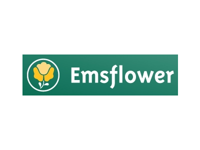 Emsflower